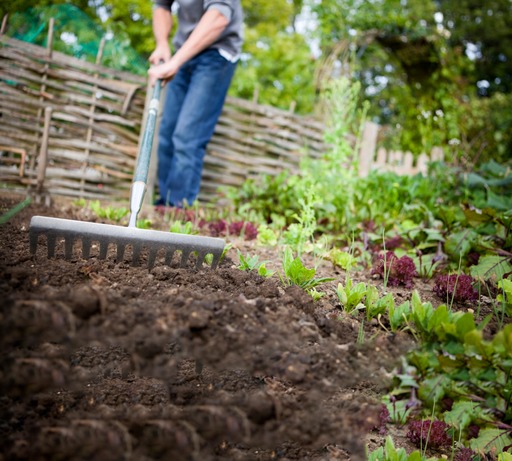Ernten Sie die Früchte Ihrer Arbeit – in Ihrem Querbeet Saisongarten!