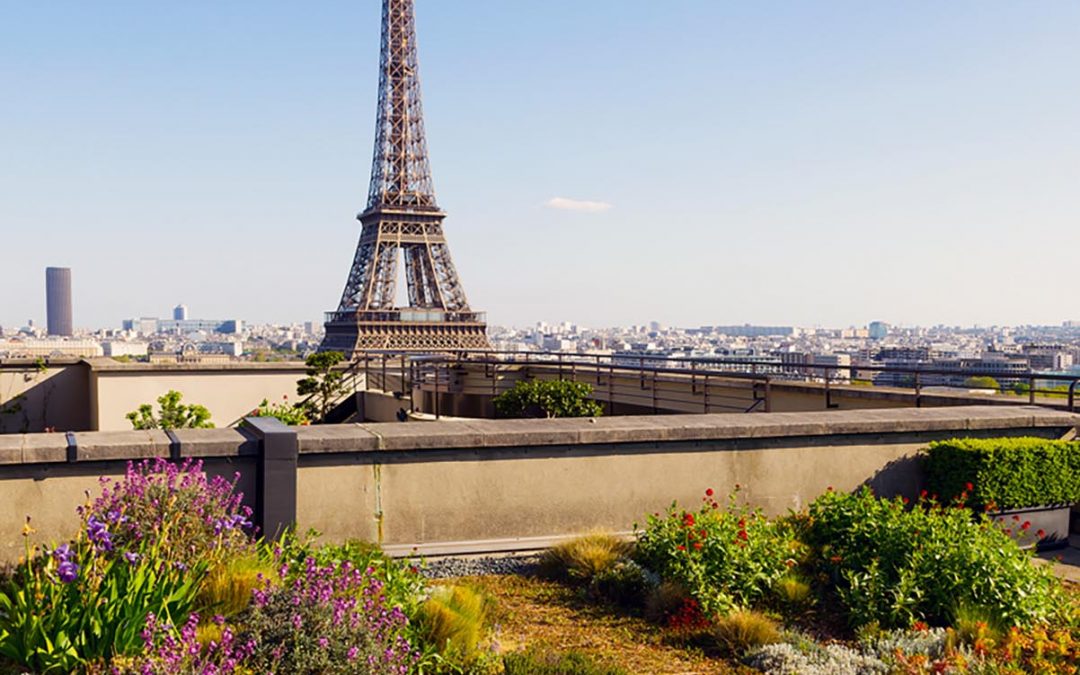 Ledendäre Hotspots neu entdeckt: Paris