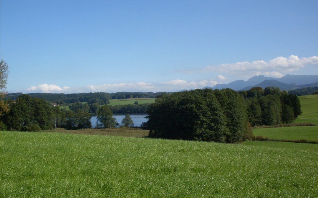 Der Tinninger Moor-See im Chiemgau