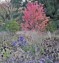 Gartenmonat September