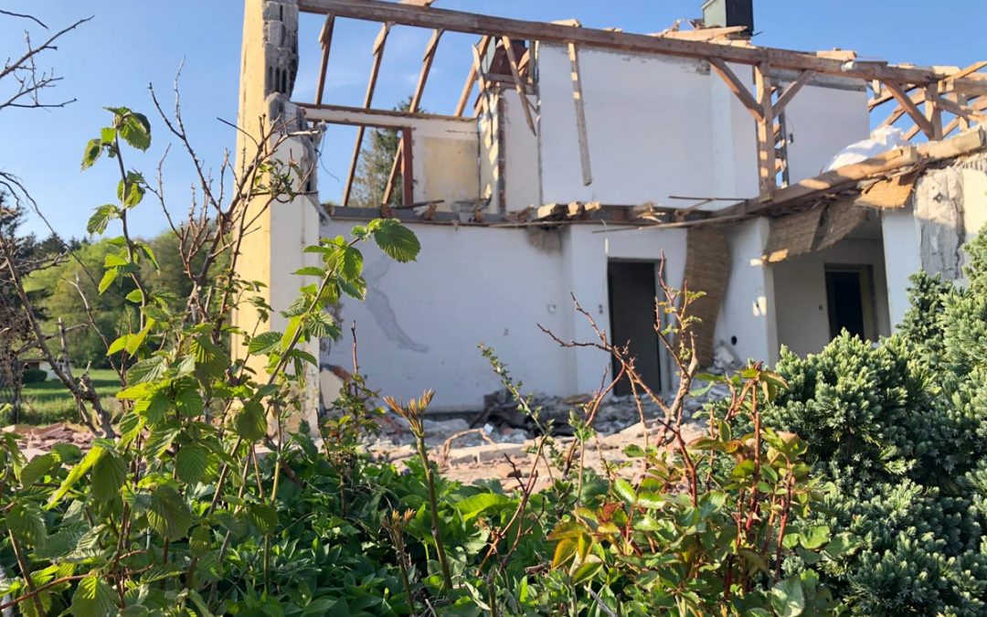 In Abriss-Haus-Gärten Pflanzen retten