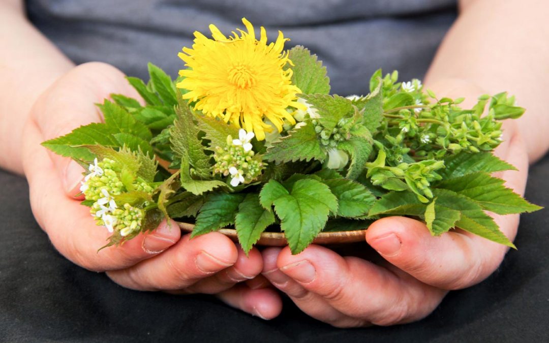 Vesper von der Wiese