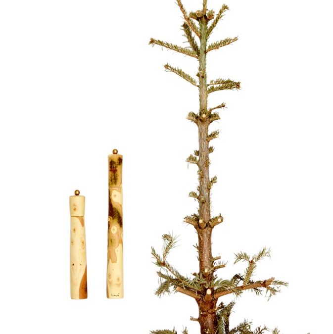 Gewürzmühlen von Lirutti Holzkultur