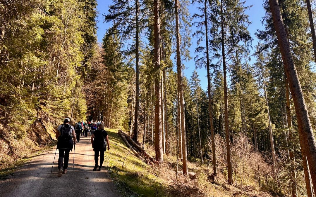 Fastenwandern im Schwarzwald mit Aloisia