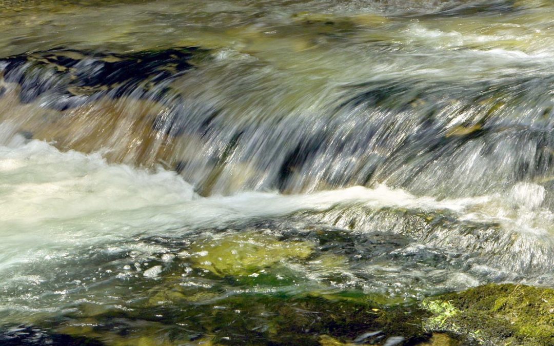 Besser leben durch Wasser